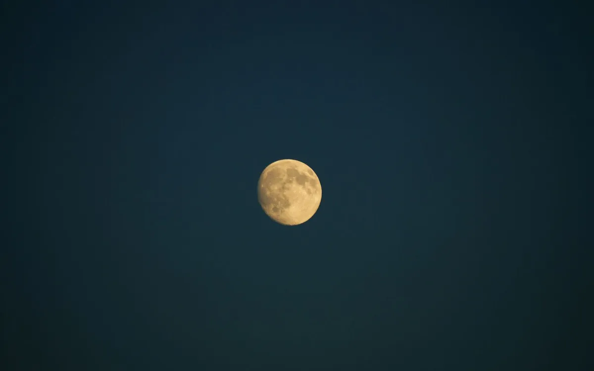 A gold full moon low in a dark blue night sky, no clouds, no people